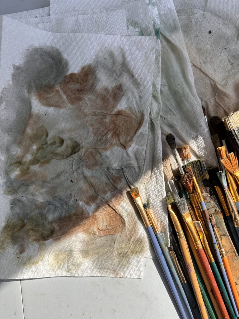 brushes laying on a paper towel used to clean them