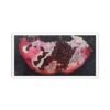 Pomegranate Slice Stickers