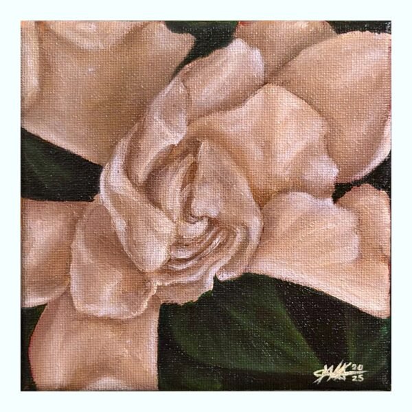 dd940cfd-95e7-4880-89df-cb0f8f8e7112.jpg Una Gardenia