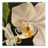 2 white orchids